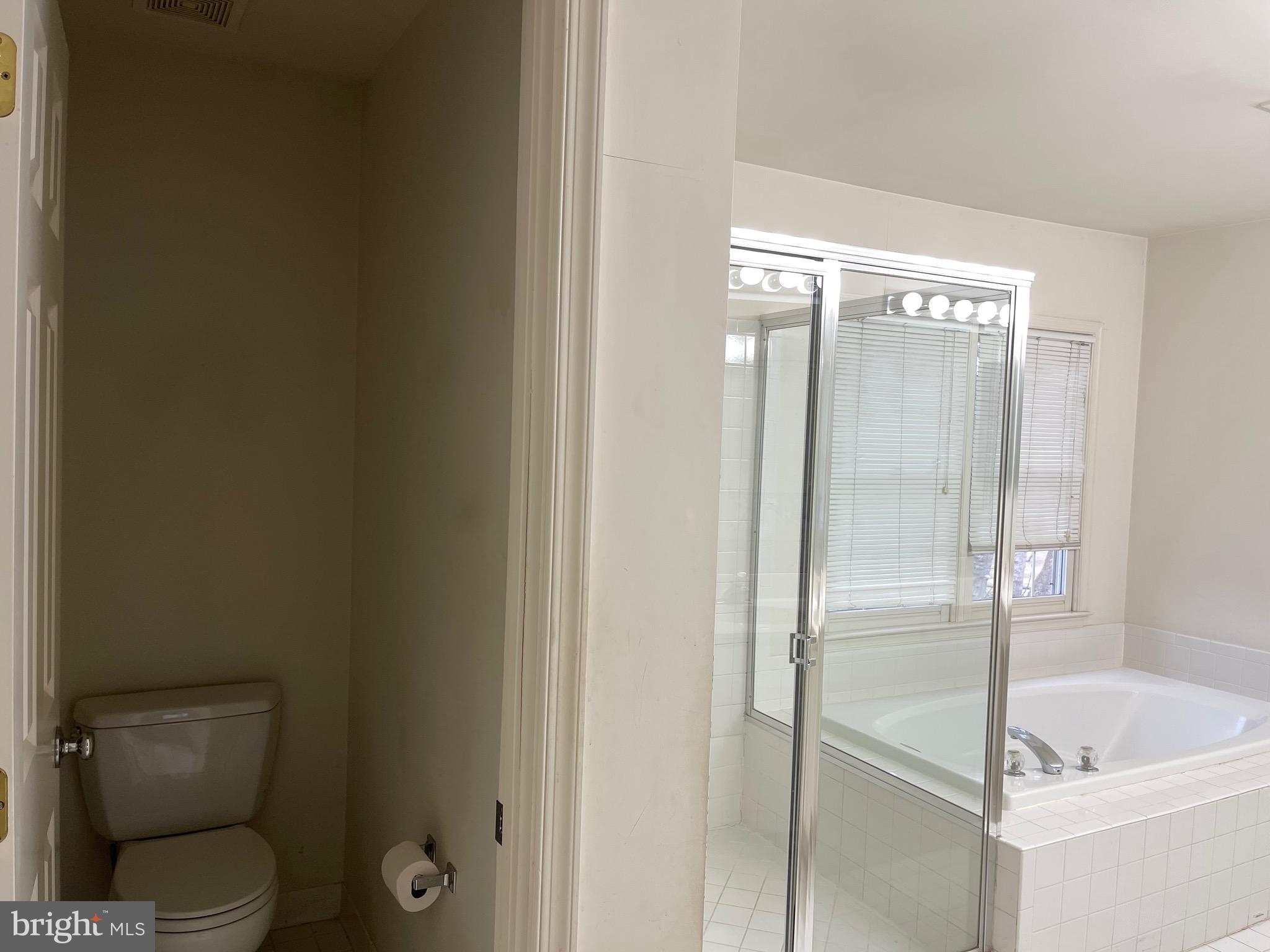 13769 Notley Road Silver Spring, MD 20904 - Photo 17 of 71 Main master bath