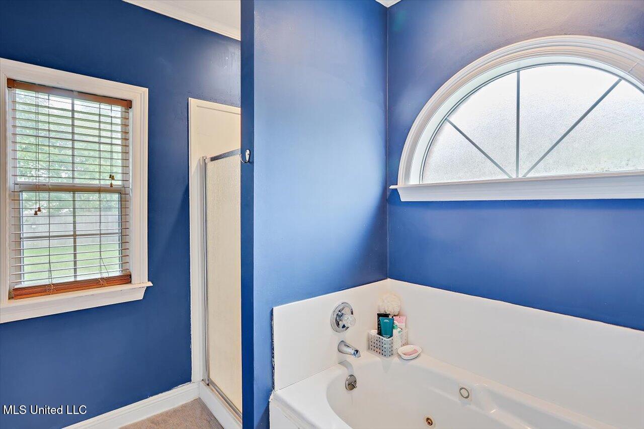 501 Brighton Circle Brandon, MS 39047 - Photo 21 of 41 24-501 Brighton Cir