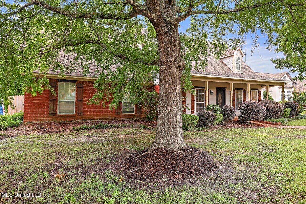 501 Brighton Circle Brandon, MS 39047 - Photo 3 of 41 03-501 Brighton Cir