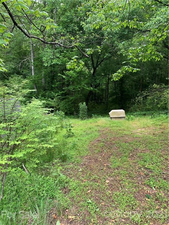 2341 Enola Road Morganton, NC 28655 - Photo 35 of 42 a view of a green yard with large trees