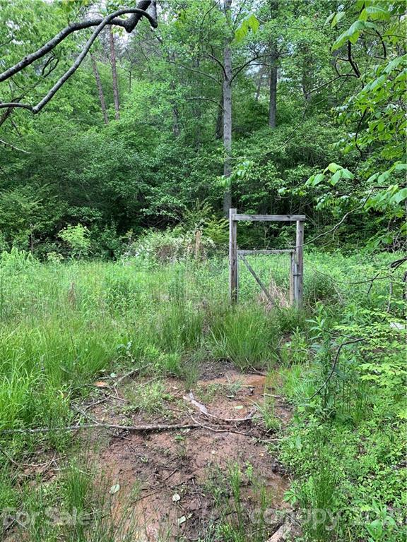 2341 Enola Road Morganton, NC 28655 - Photo 36 of 42 a view of a yard with plants and a trees