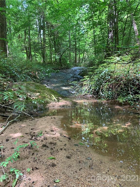 2341 Enola Road Morganton, NC 28655 - Photo 38 of 42 a view of a forest filled with trees