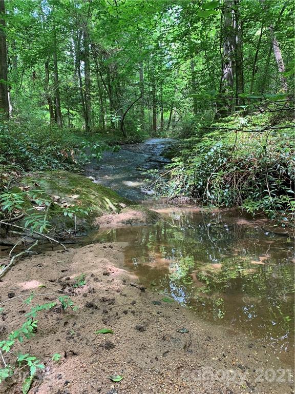 2341 Enola Road Morganton, NC 28655 - Photo 39 of 42 a backyard of a house with lots of green space and lake view