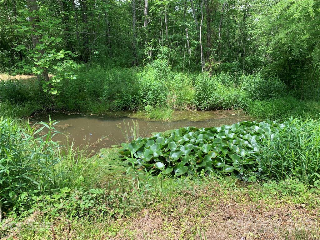 2341 Enola Road Morganton, NC 28655 - Photo 41 of 42 a backyard of a house with lots of green space and chair