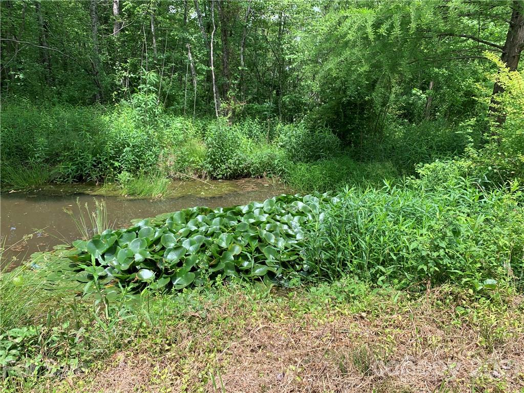 2341 Enola Road Morganton, NC 28655 - Photo 42 of 42 a view of a garden with a lake view