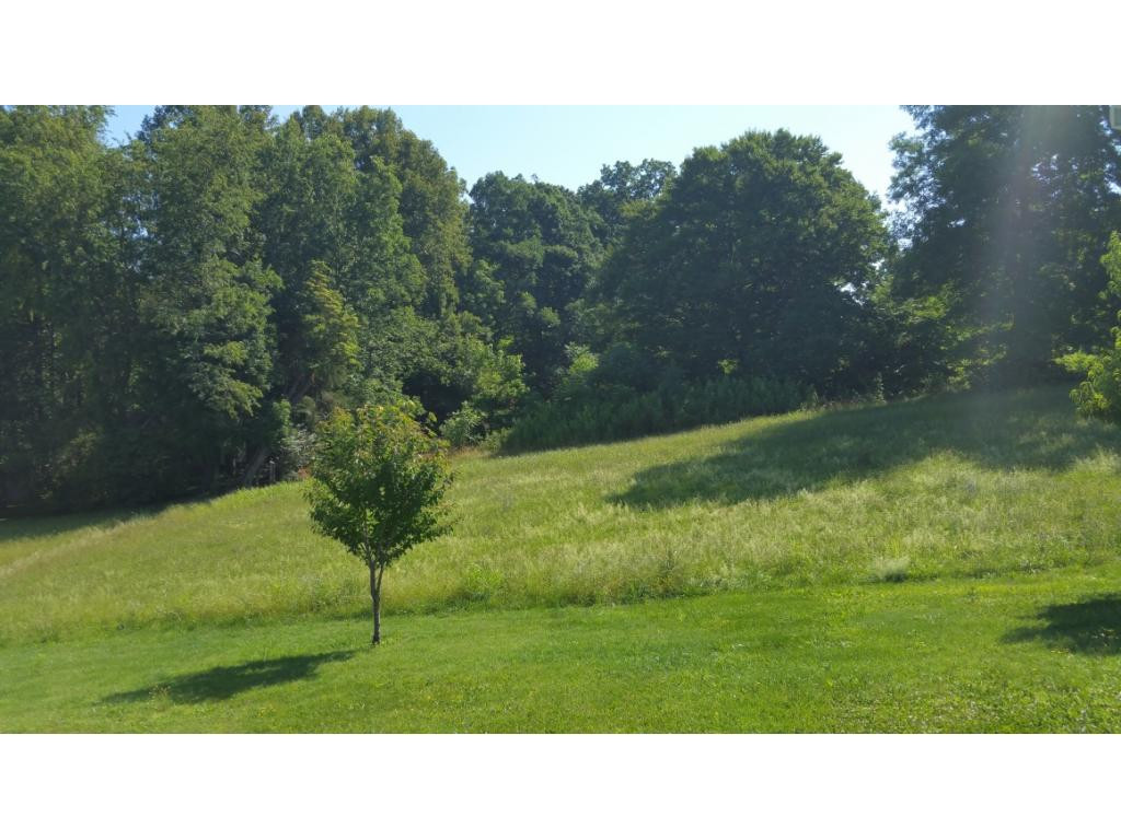 176 Willocks Road Johnson City, TN 37601 - Photo 5 of 11 5 great acres of land