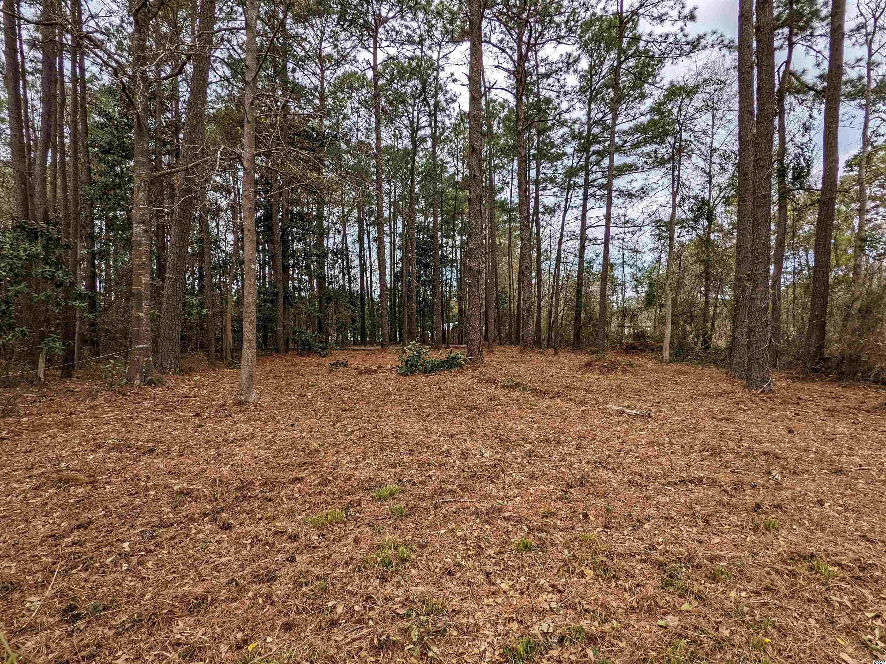 207 County Rd S-22-452 Georgetown, SC 29440 - Photo 11 of 40 Gallery Image 11