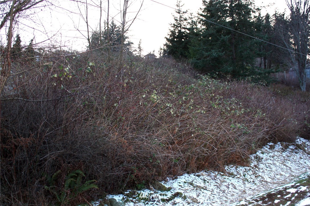 125 Underhill Road Bellingham, WA 98225 - Photo 7 of 7
