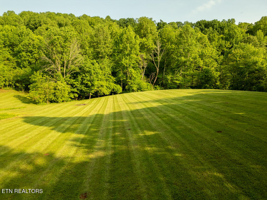 362 Craighead Road Madisonville, TN 37354 - Photo 1 of 20 IMG_1018