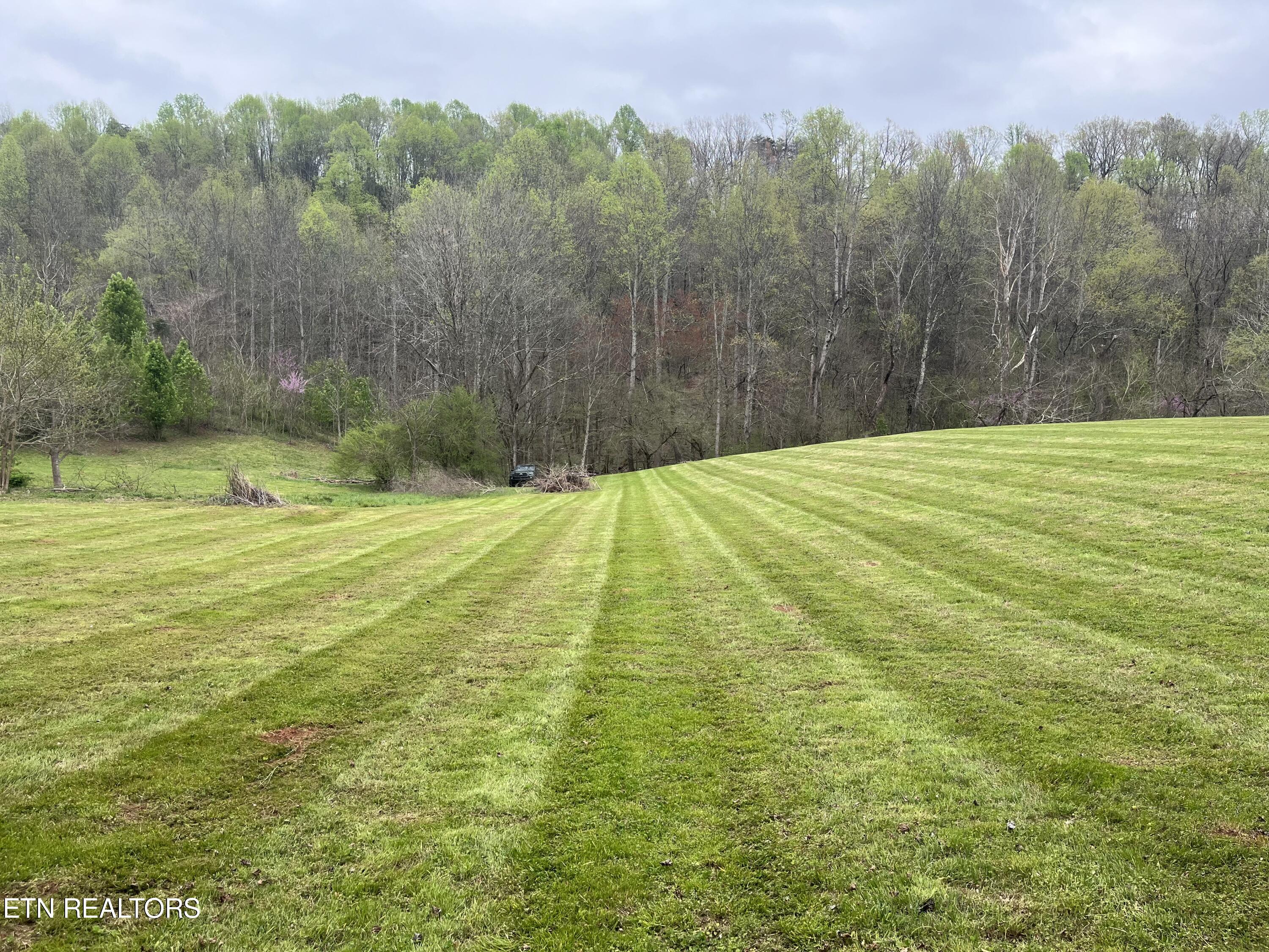 362 Craighead Road Madisonville, TN 37354 - Photo 4 of 20 IMG_9483