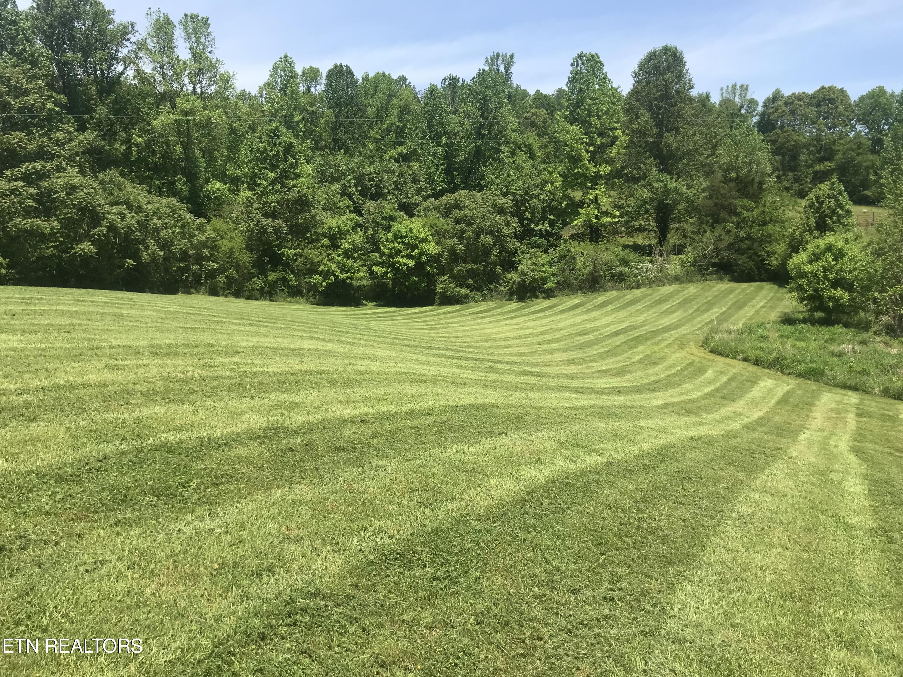 362 Craighead Road Madisonville, TN 37354 - Photo 5 of 20 AF1137C1-E284-41BB-ADD1-798C6A66FD93