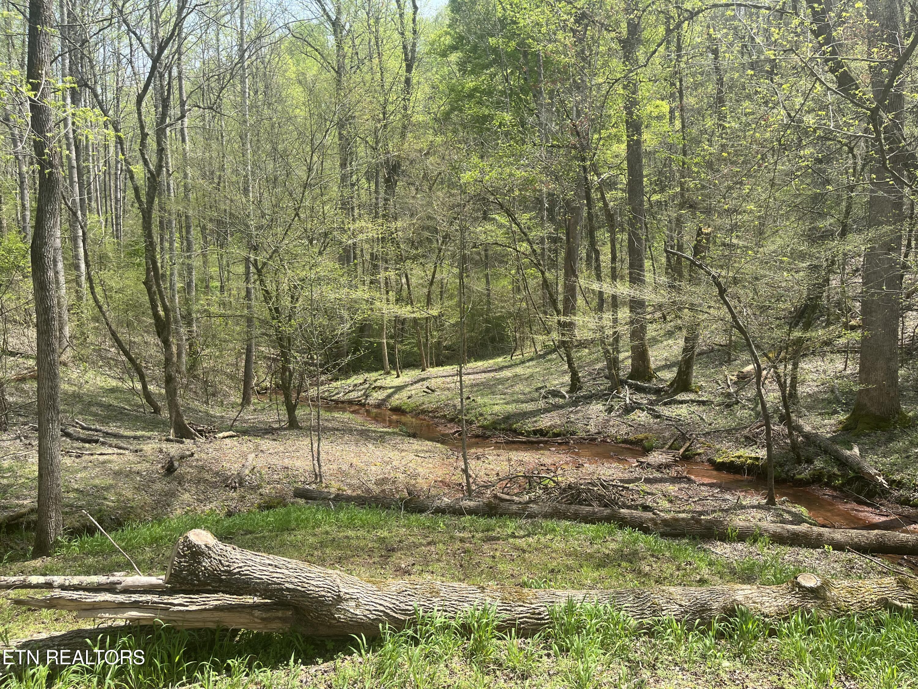 362 Craighead Road Madisonville, TN 37354 - Photo 7 of 20 B6B4F6BB-FCC8-4CA4-AC26-C3B7BBBF512E