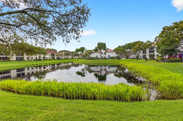 a view of a lake with a yard and large trees
