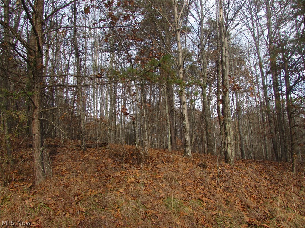 Davis Run Road Pennsboro, WV 26415 - Photo 9 of 14 Gallery Image 9