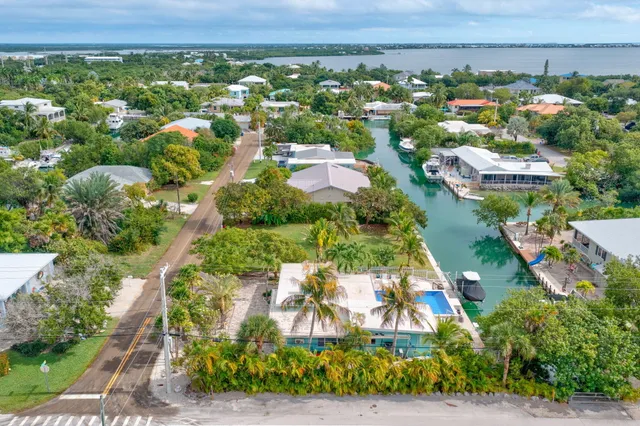 a view of a house with a backyard and a tree