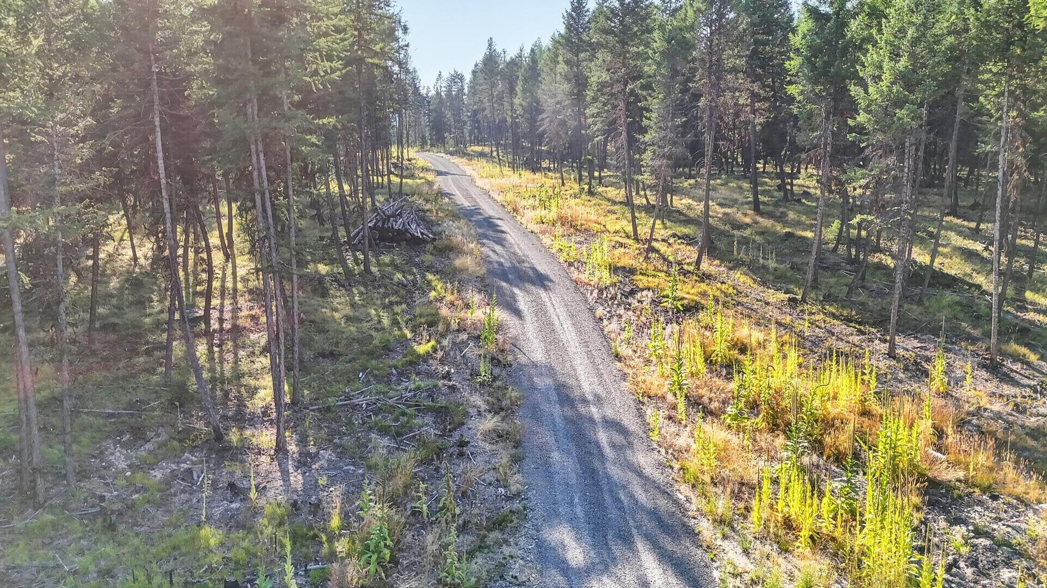 Lot 2 Forest Ridge Road Fortine, MT 59918 - Photo 21 of 22 Gallery Image 21