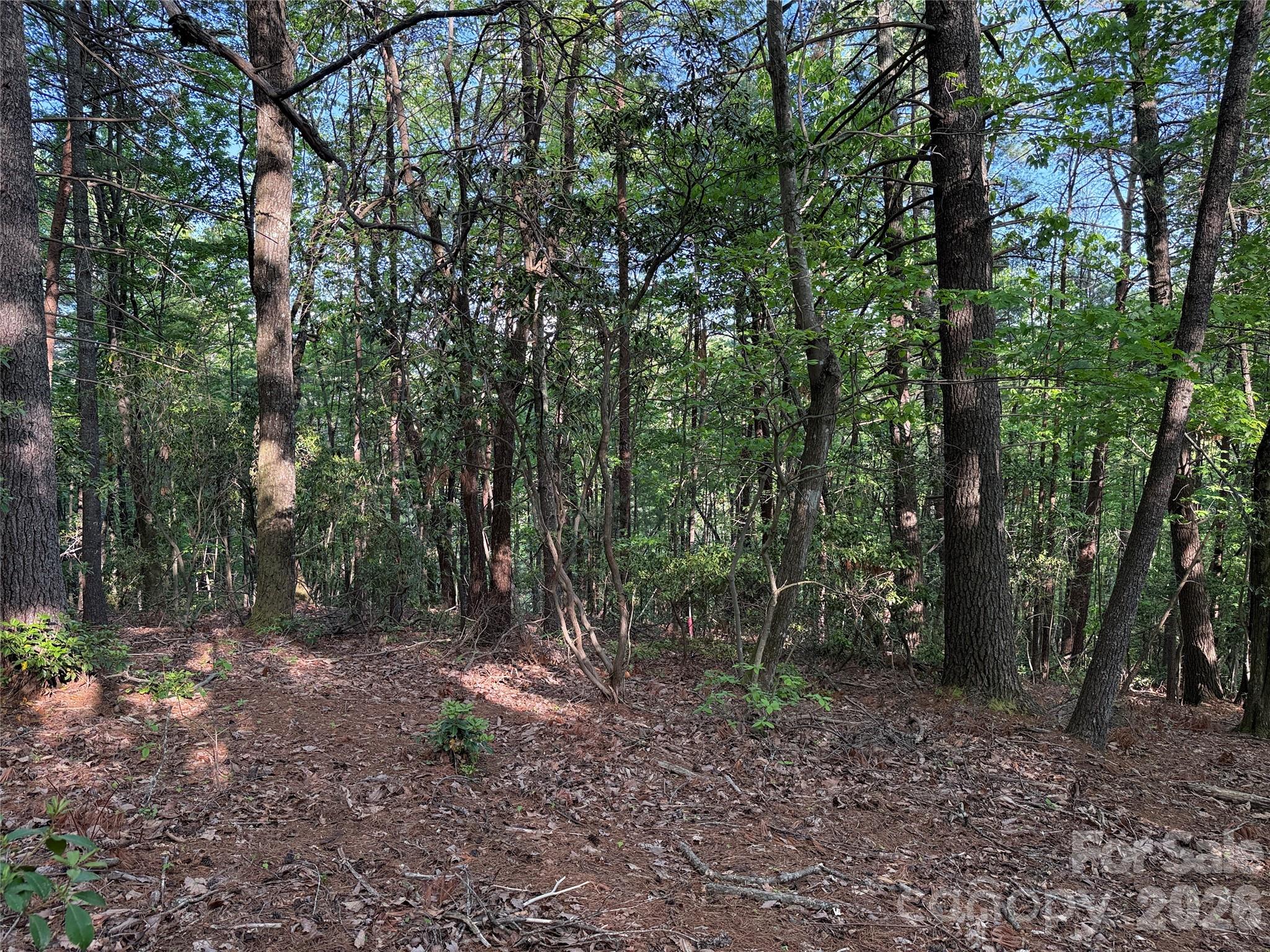 Tbd Wolf Pen Road, Unit 27 Purlear, NC 28665 - Photo 18 of 41