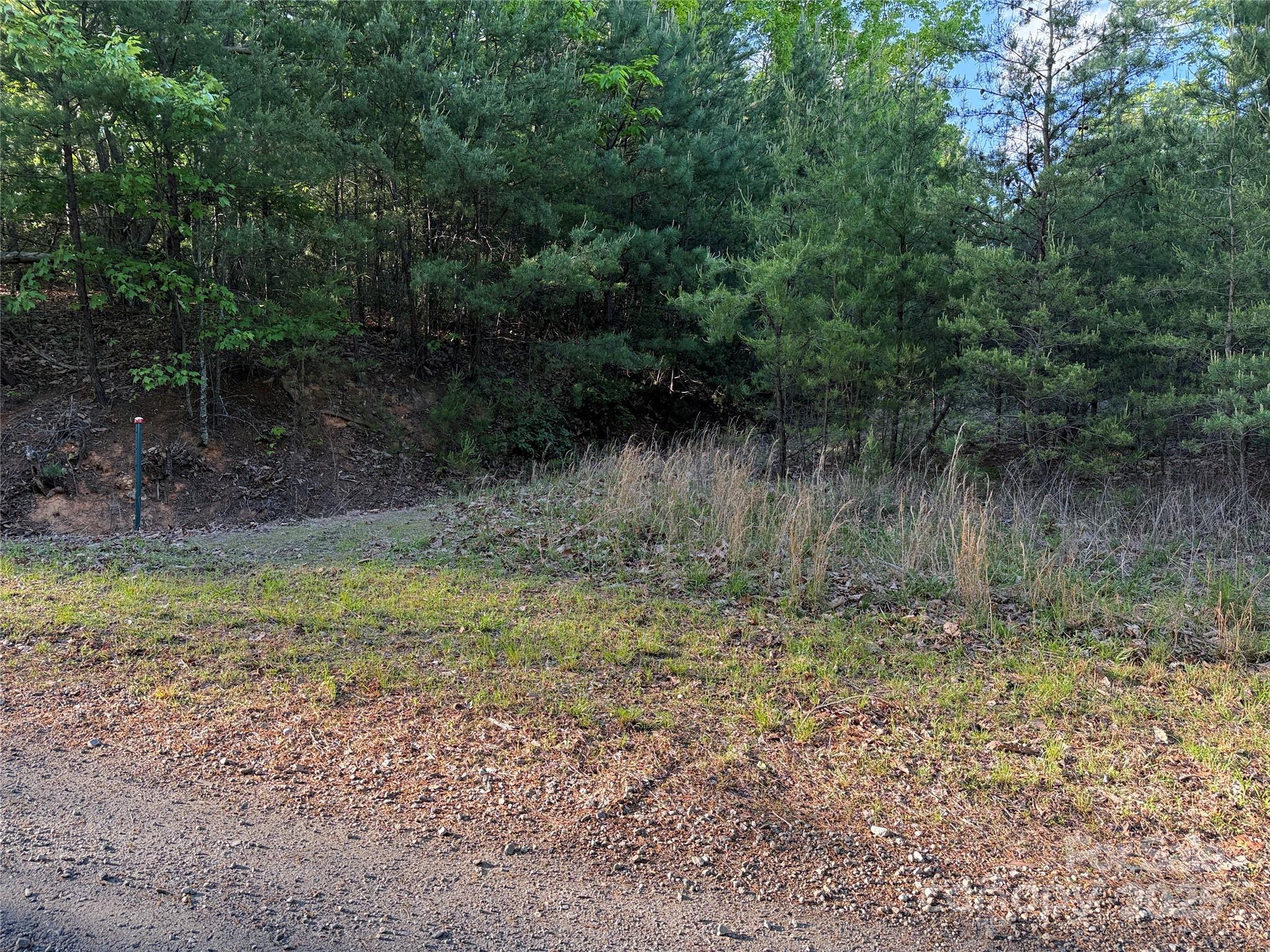 Tbd Wolf Pen Road, Unit 27 Purlear, NC 28665 - Photo 19 of 40 a view of a yard