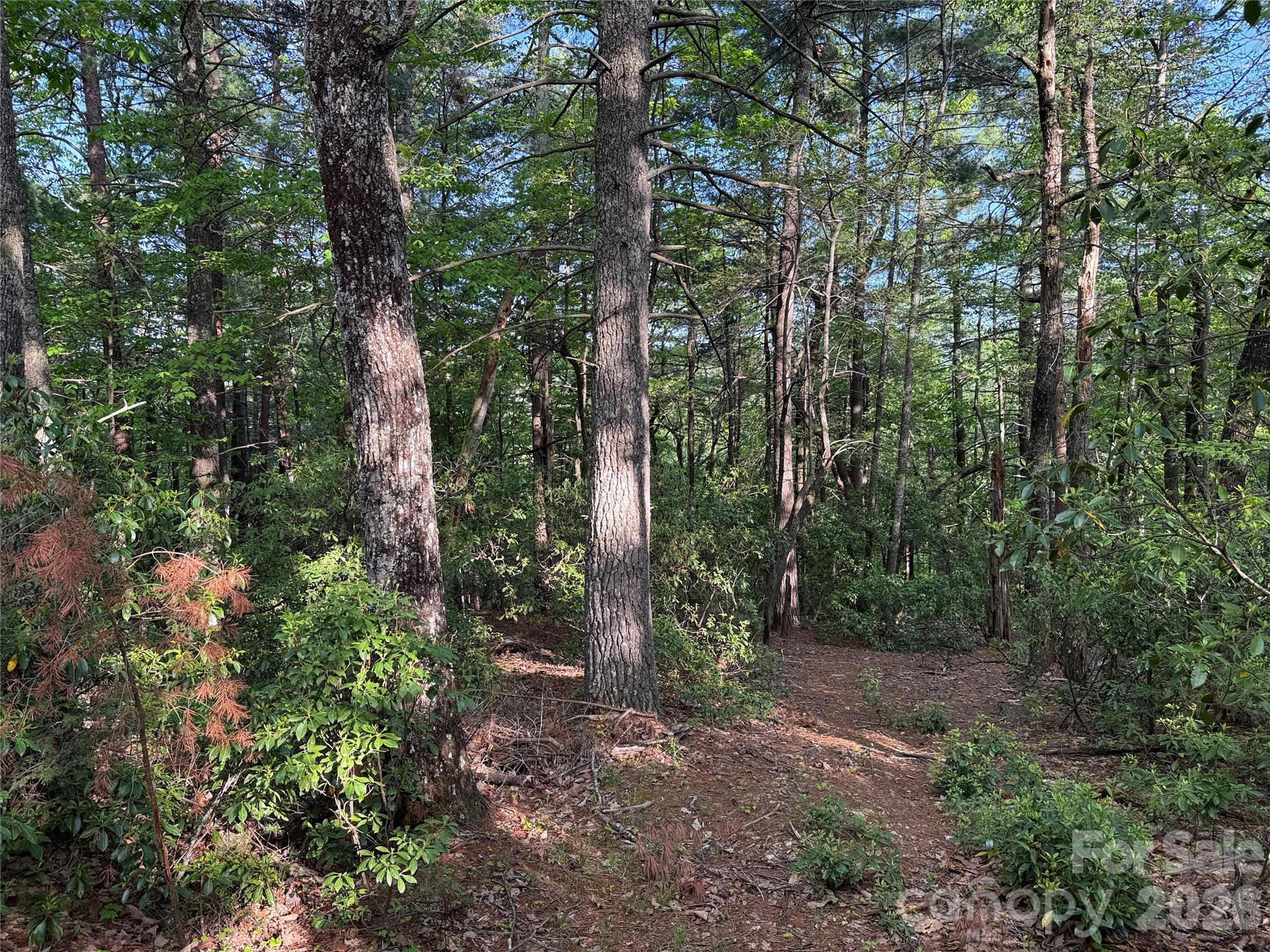 Tbd Wolf Pen Road, Unit 27 Purlear, NC 28665 - Photo 3 of 41