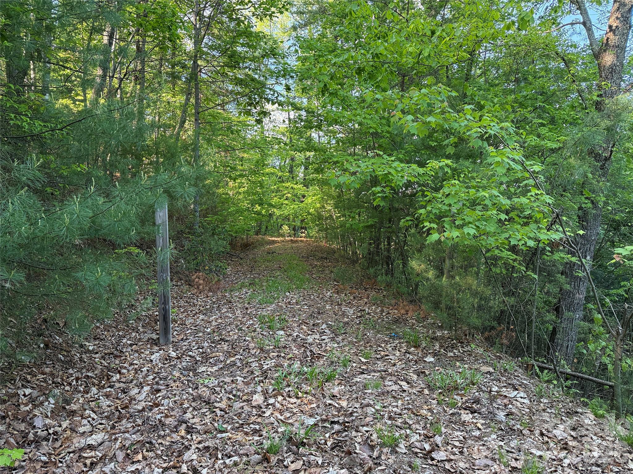 Tbd Wolf Pen Road, Unit 27 Purlear, NC 28665 - Photo 5 of 41