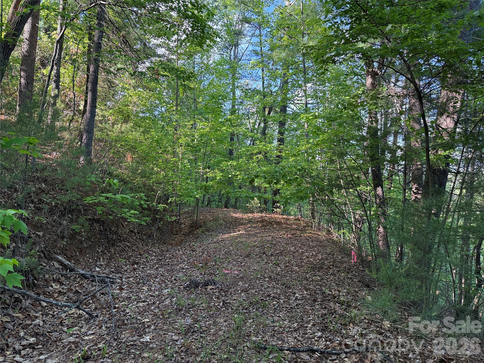 Tbd Wolf Pen Road, Unit 27 Purlear, NC 28665 - Photo 6 of 41