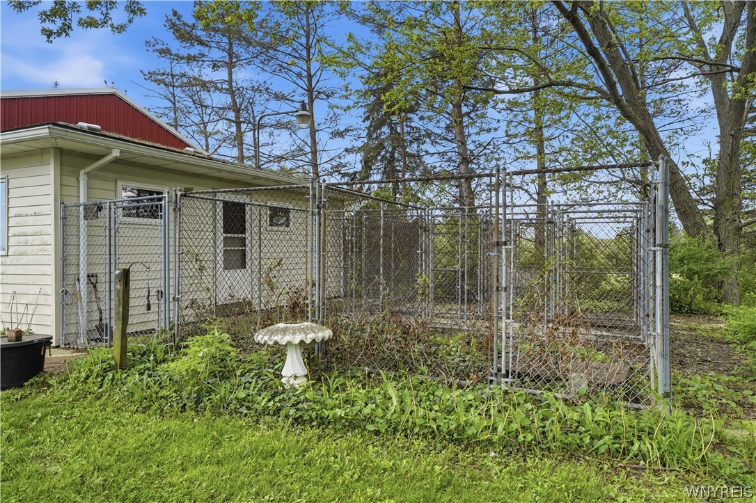 9950 Harper Road Darien, NY 14036 - Photo 17 of 50 Fenced kennel