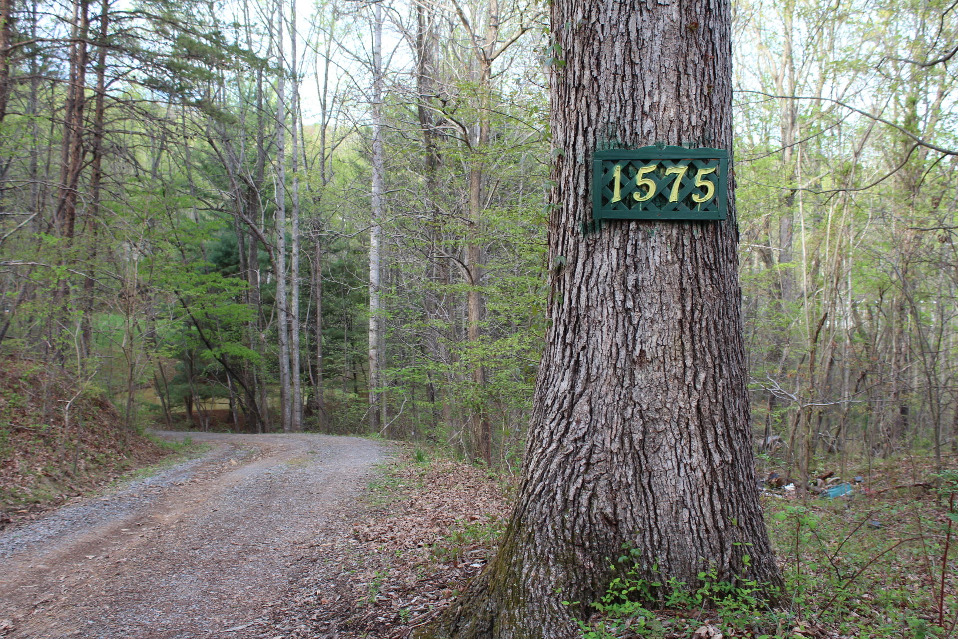 1575 Potters Road Vinton, VA 24179 - Photo 2 of 50 IMG_0950