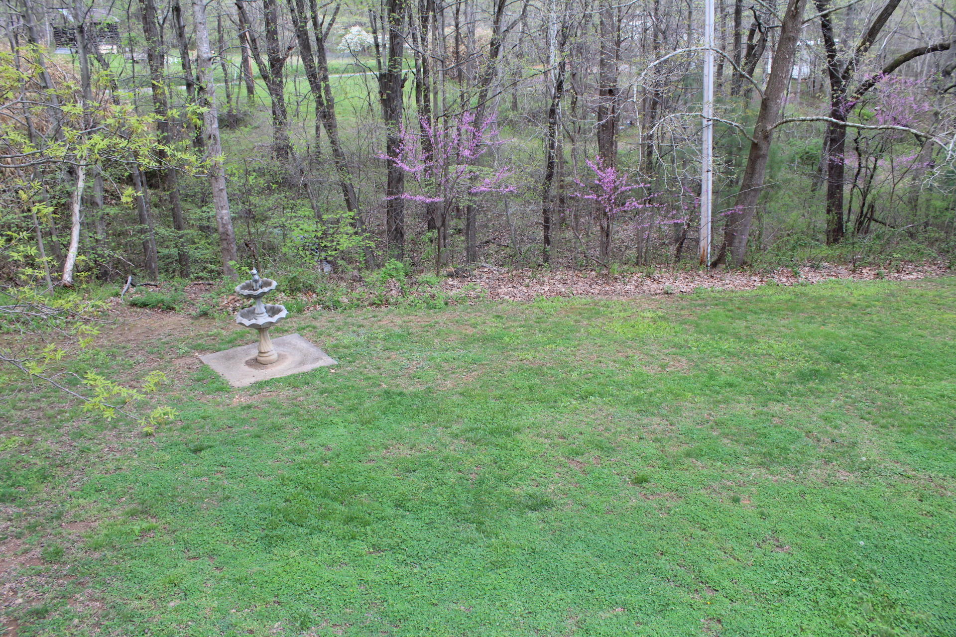 1575 Potters Road Vinton, VA 24179 - Photo 23 of 50 IMG_0903