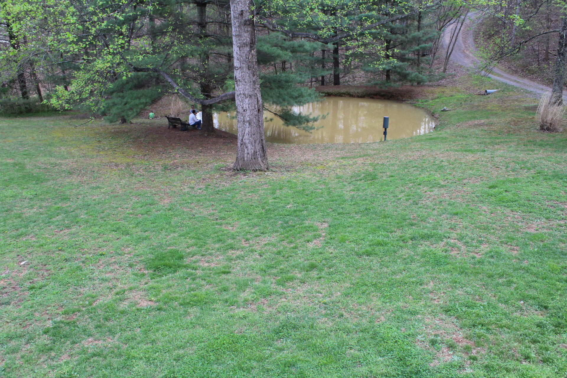 1575 Potters Road Vinton, VA 24179 - Photo 24 of 50 IMG_0905