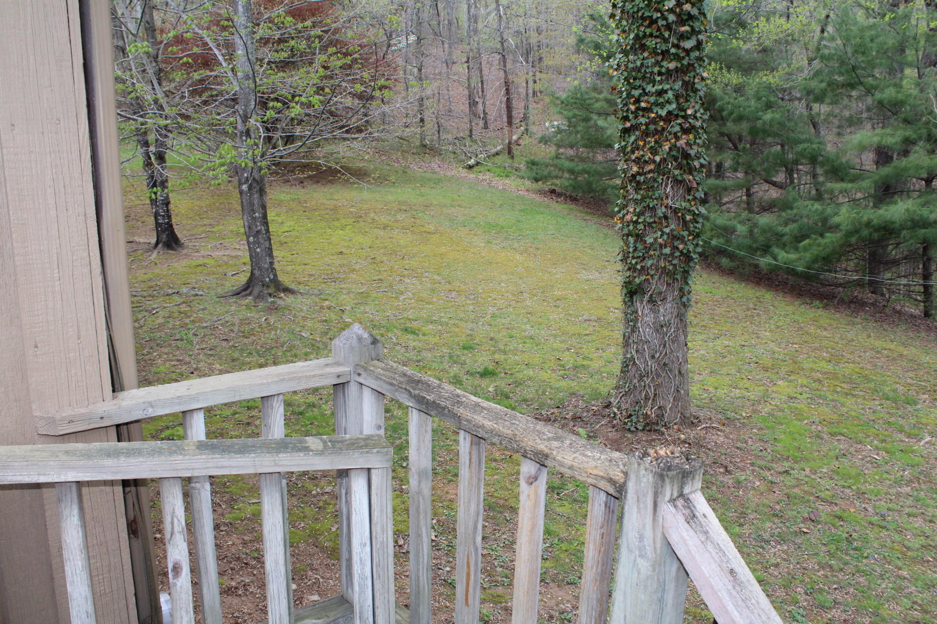 1575 Potters Road Vinton, VA 24179 - Photo 26 of 50 IMG_0907