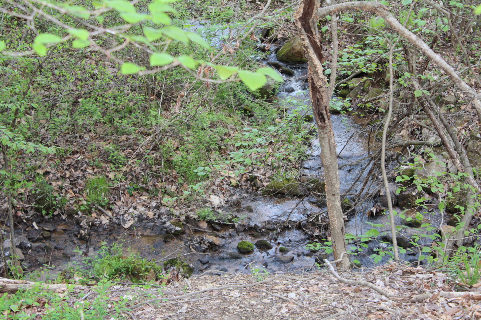 1575 Potters Road Vinton, VA 24179 - Photo 39 of 50 IMG_0934