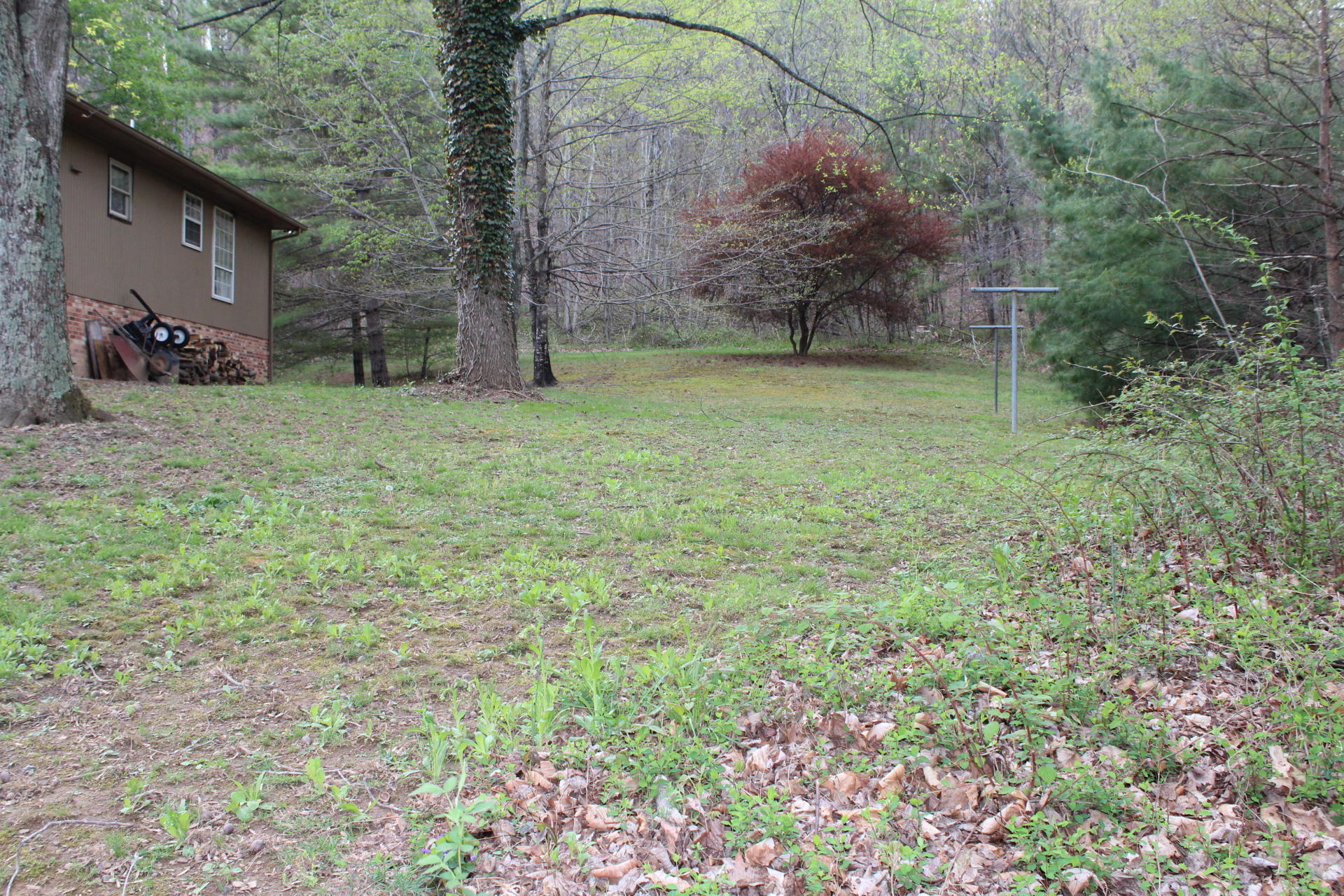 1575 Potters Road Vinton, VA 24179 - Photo 42 of 50 IMG_0937