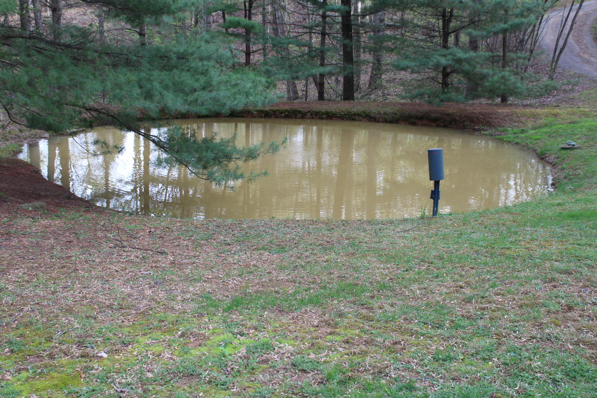 1575 Potters Road Vinton, VA 24179 - Photo 45 of 50 IMG_0942