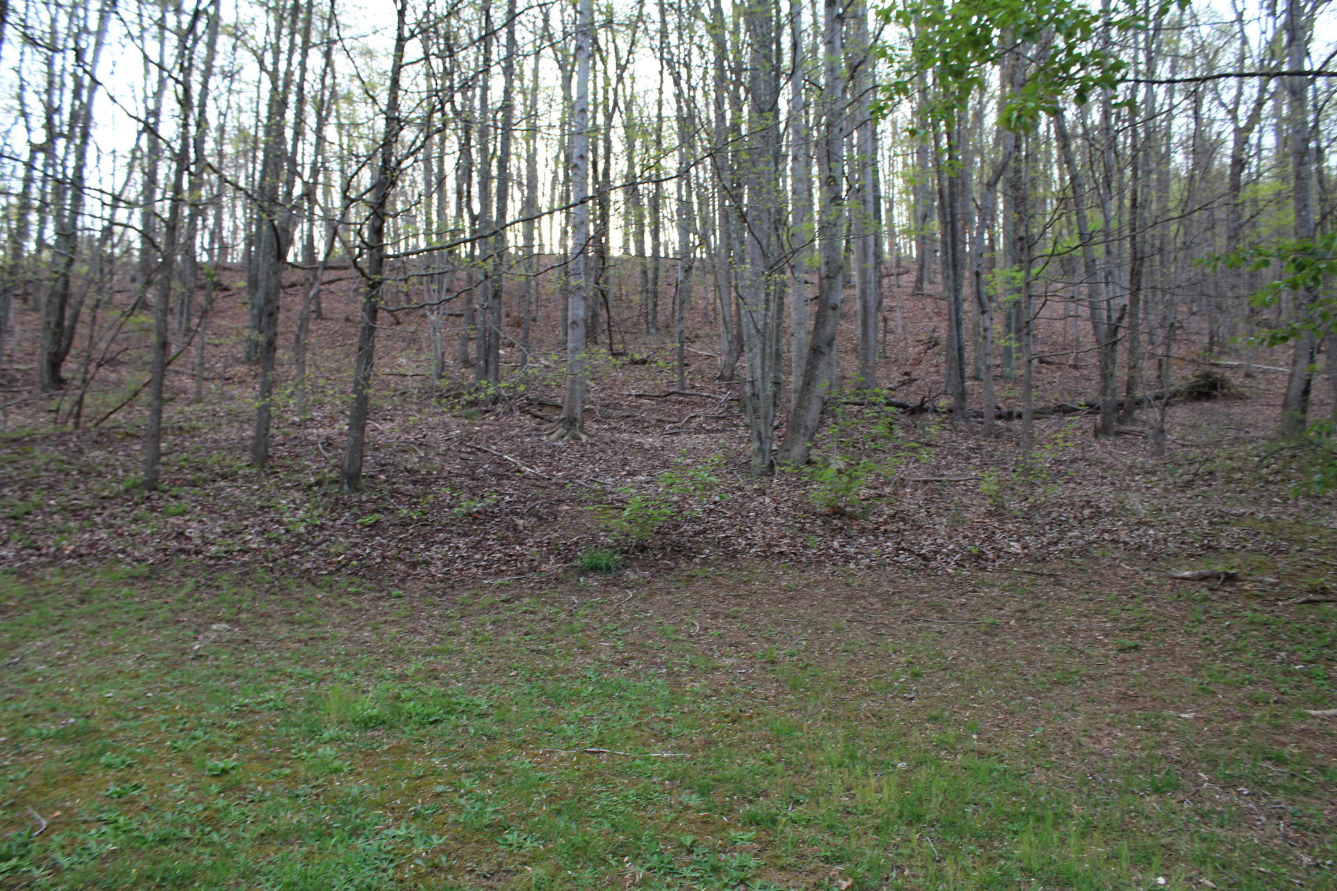 1575 Potters Road Vinton, VA 24179 - Photo 47 of 50 IMG_0949