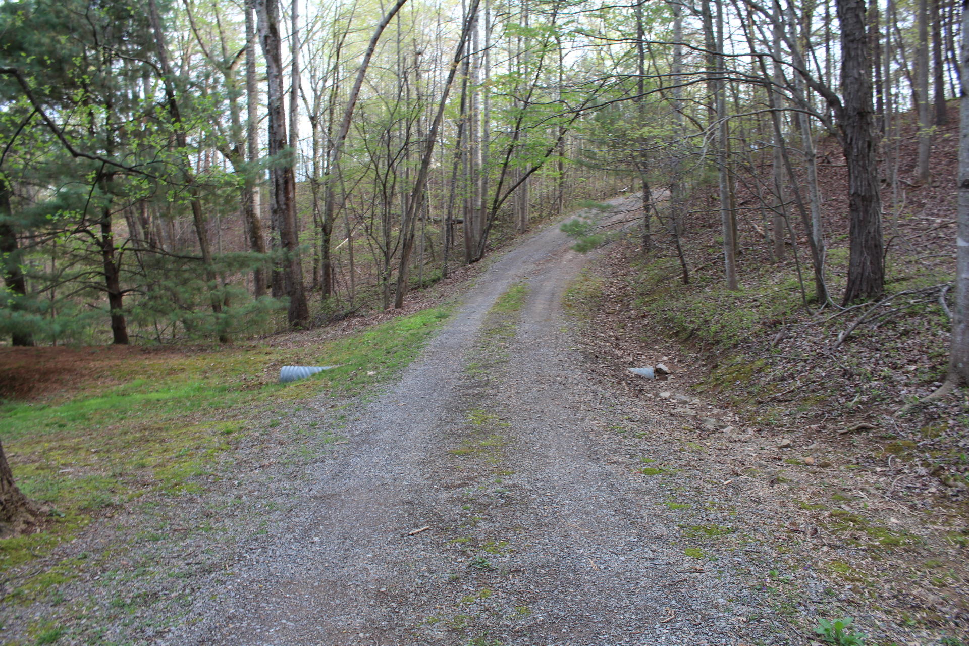 1575 Potters Road Vinton, VA 24179 - Photo 48 of 50 IMG_0945