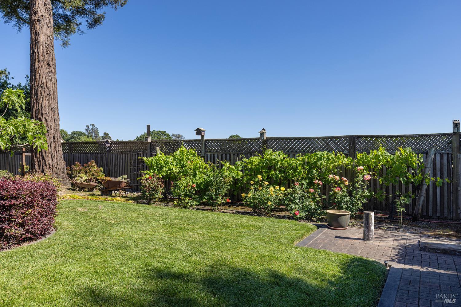 2236 West Hearn Avenue Santa Rosa, CA 95407 - Photo 40 of 56 a view of a backyard with plants