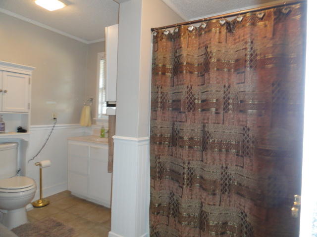 5528 Bill Davis Road Summerton, SC 29148 - Photo 12 of 32 master ba b