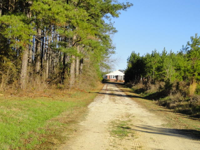 5528 Bill Davis Road Summerton, SC 29148 - Photo 21 of 32 entrance to home