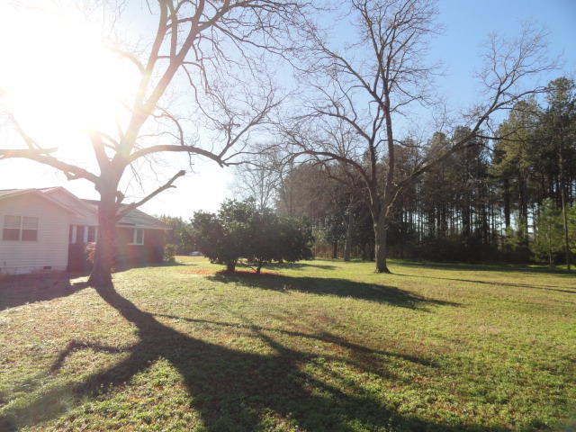 5528 Bill Davis Road Summerton, SC 29148 - Photo 26 of 32 side yard with pecan trees