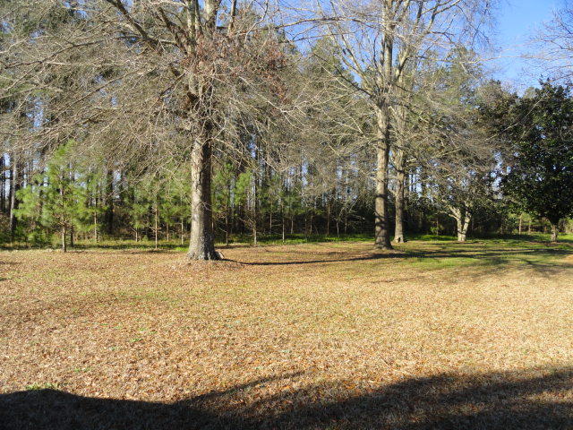 5528 Bill Davis Road Summerton, SC 29148 - Photo 29 of 32 view from screen porch