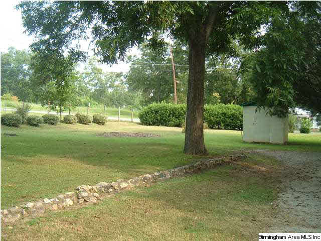 424 Coosa Island Road Cropwell, AL 35054 - Photo 7 of 22