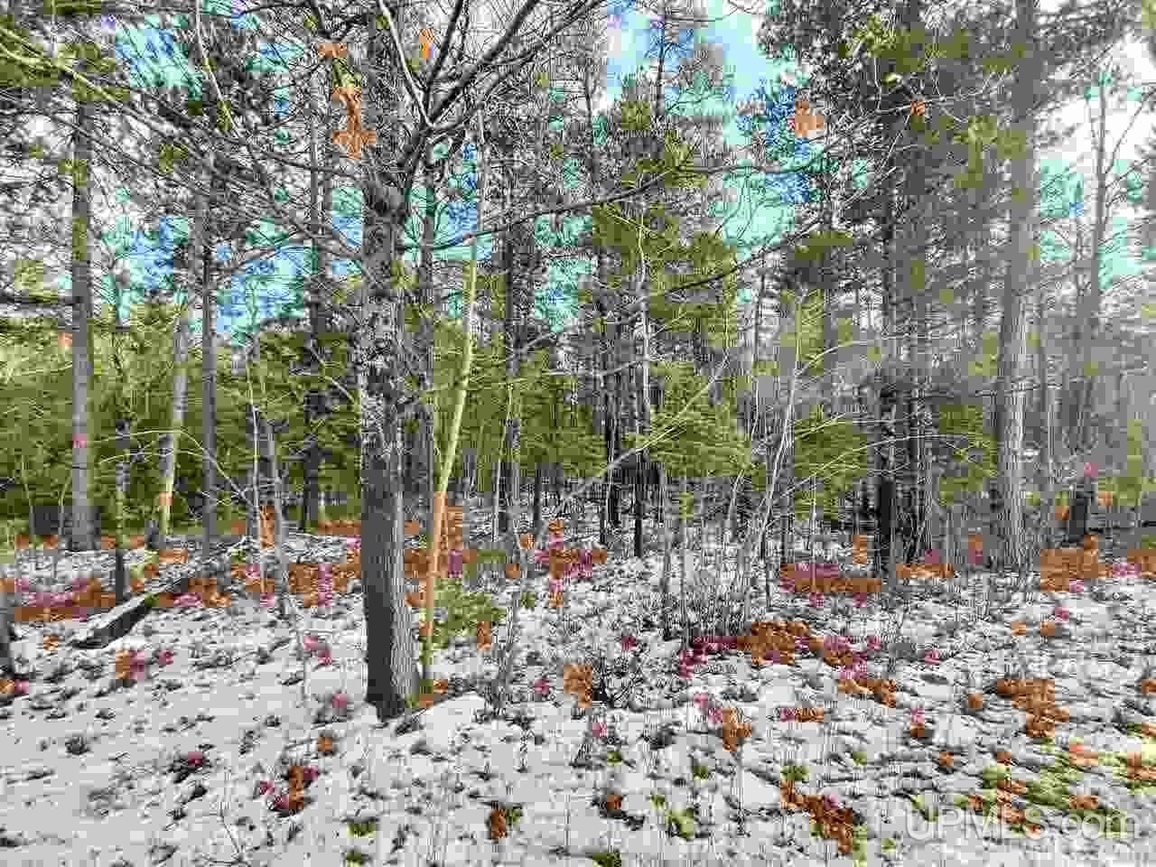11.64 Acres Co Road Marquette, MI 49855 - Photo 3 of 8