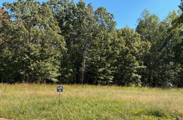 3218 Hunziker Lane Fairview, TN 37062 - Photo 83 of 93