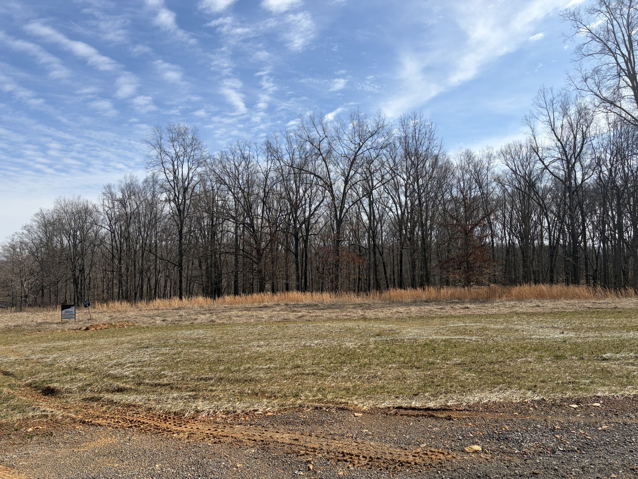 3218 Hunziker Lane Fairview, TN 37062 - Photo 92 of 93