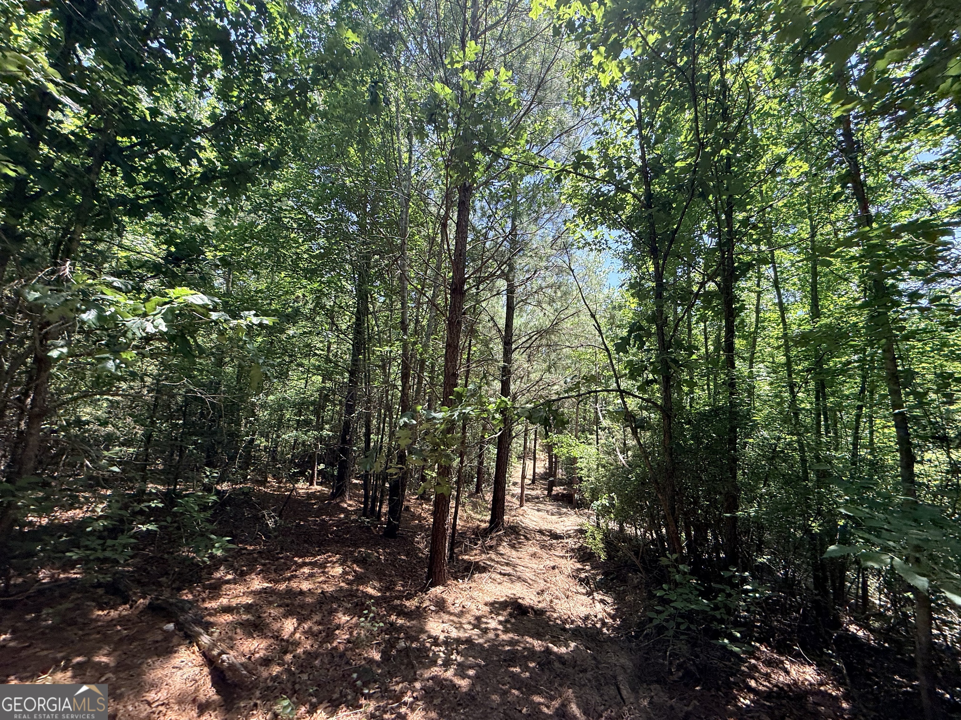 2807 Cedar Creek Road Elberton, GA 30635 - Photo 47 of 109
