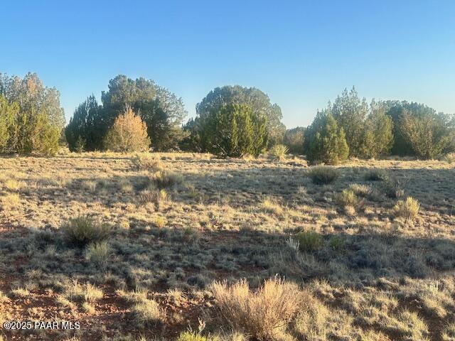 349- Rocky Top Road Seligman, AZ 86337 - Photo 6 of 10 a view of ocean view with trees