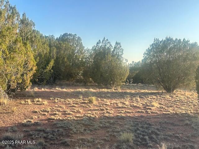 349- Rocky Top Road Seligman, AZ 86337 - Photo 7 of 10 a view of a yard with a tree