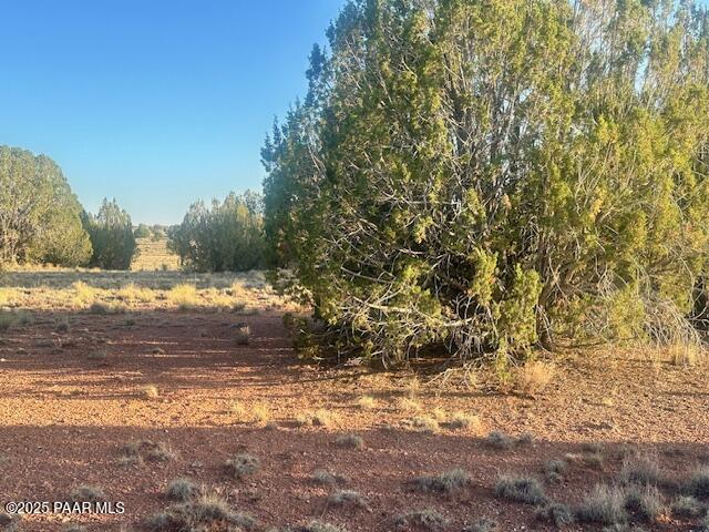 349- Rocky Top Road Seligman, AZ 86337 - Photo 8 of 10 a view of mountain view with beach