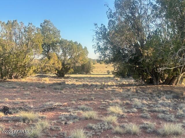 349- Rocky Top Road Seligman, AZ 86337 - Photo 9 of 10 a view of dirt yard with a large tree