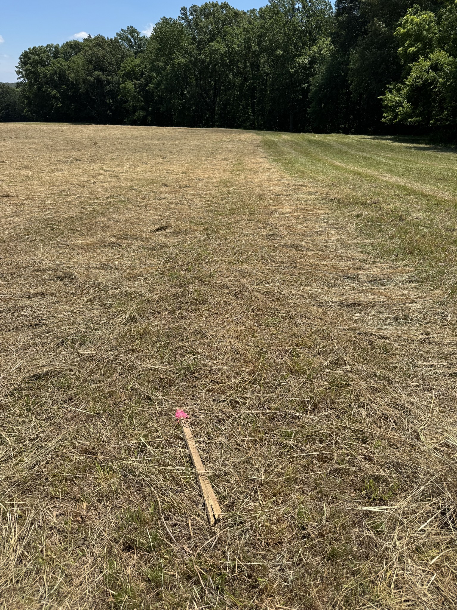 0 Horseshoe Road Cross Plains, TN 37049 - Photo 2 of 11